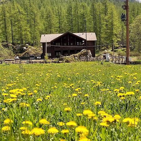 Chalet Rosa Dei Monti Piamprato Exteriör bild