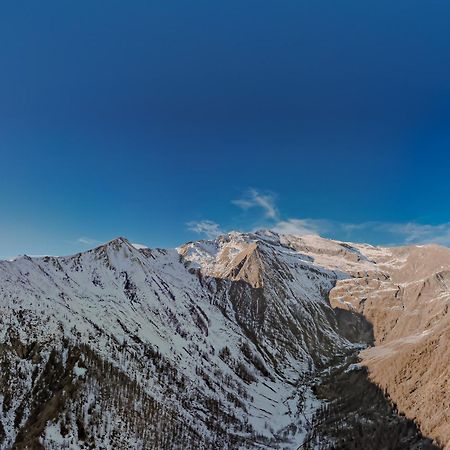 Chalet Rosa Dei Monti Piamprato Exteriör bild