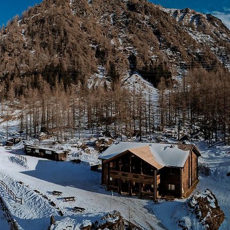 Chalet Rosa Dei Monti Piamprato Exteriör bild