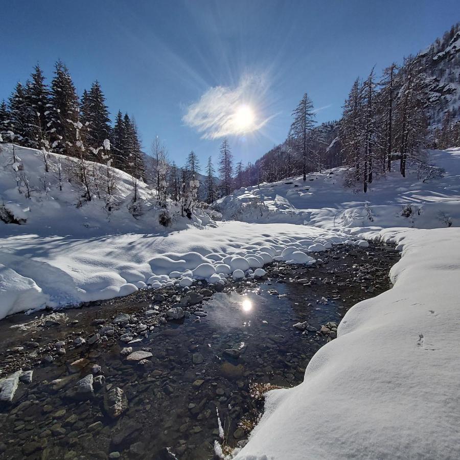 Chalet Rosa Dei Monti Piamprato Exteriör bild
