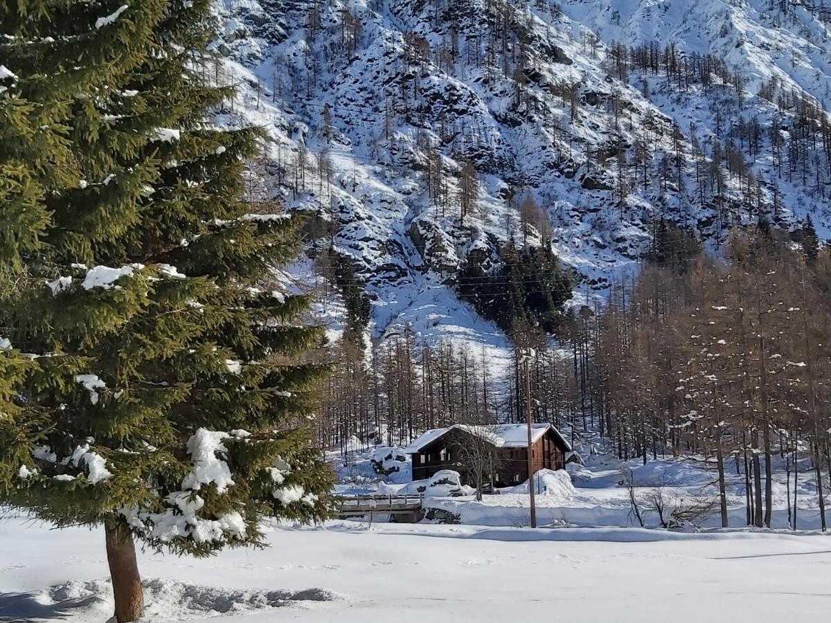 Chalet Rosa Dei Monti Piamprato Exteriör bild