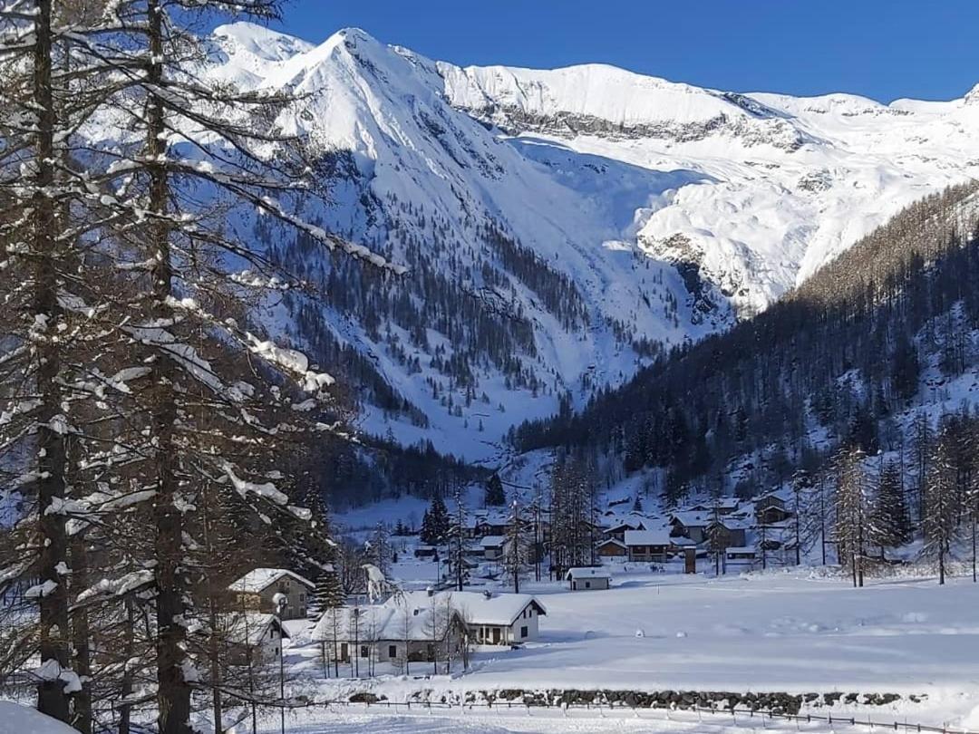 Chalet Rosa Dei Monti Piamprato Exteriör bild