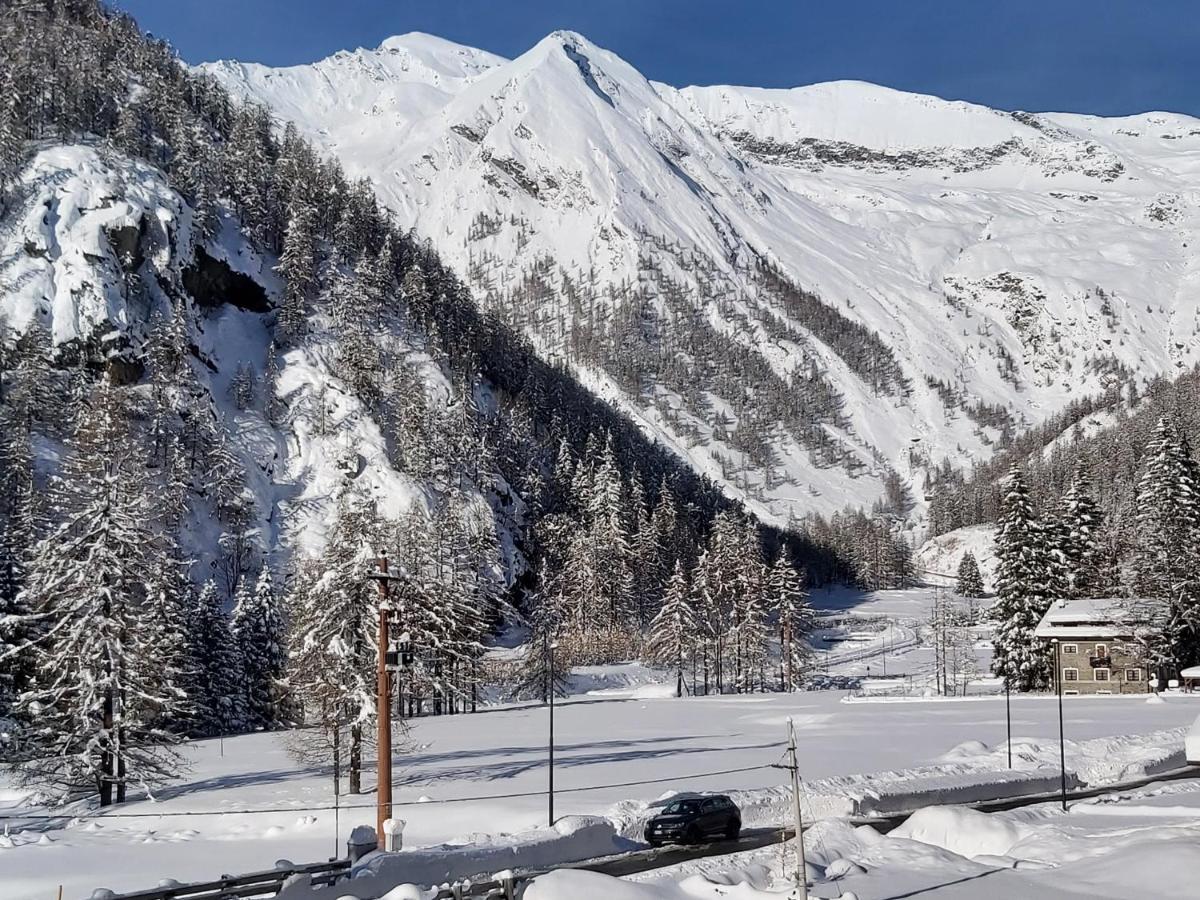 Chalet Rosa Dei Monti Piamprato Exteriör bild
