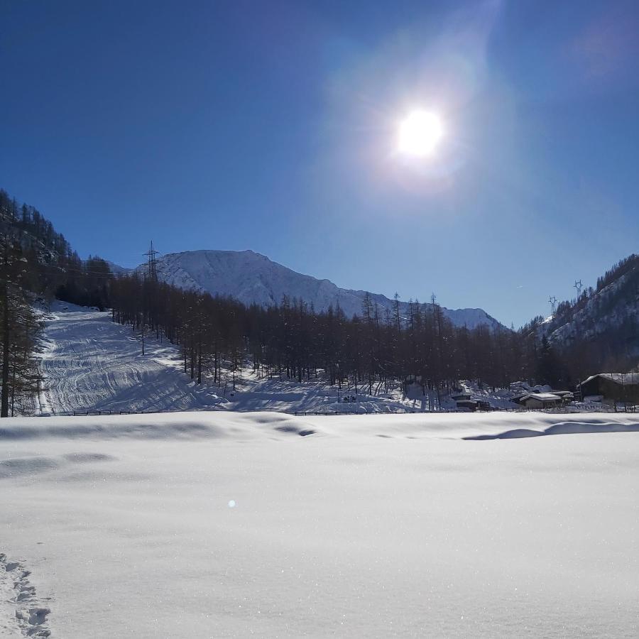 Chalet Rosa Dei Monti Piamprato Exteriör bild