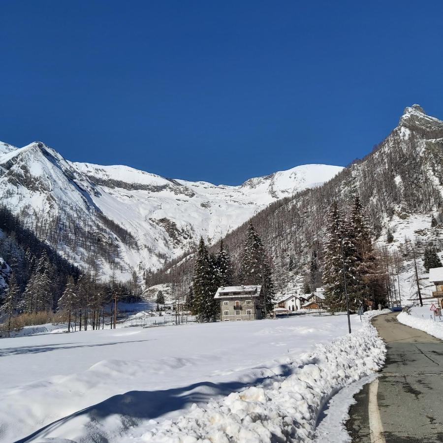 Chalet Rosa Dei Monti Piamprato Exteriör bild