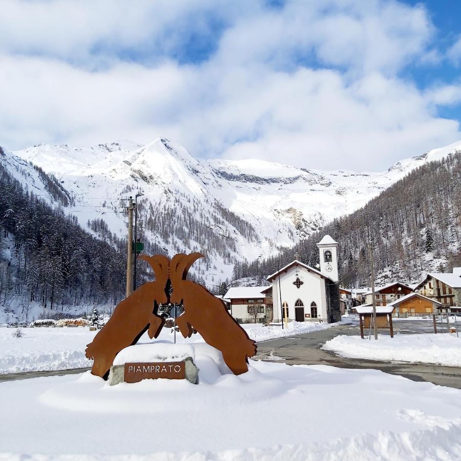 Chalet Rosa Dei Monti Piamprato Exteriör bild
