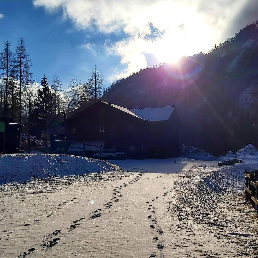 Chalet Rosa Dei Monti Piamprato Exteriör bild