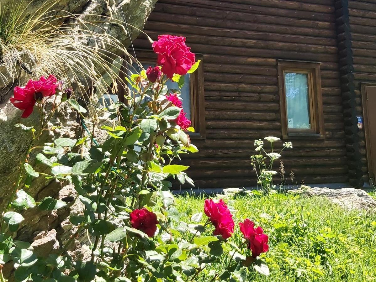 Chalet Rosa Dei Monti Piamprato Exteriör bild