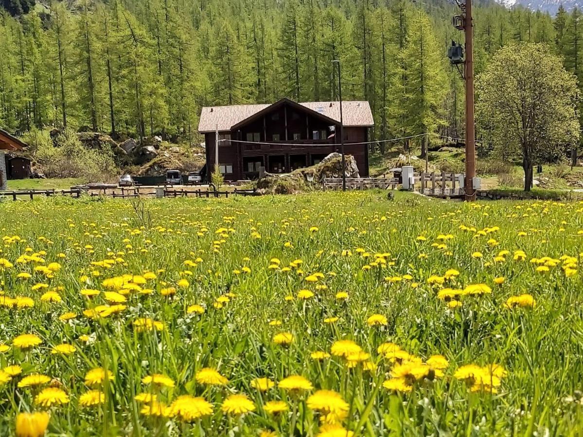 Chalet Rosa Dei Monti Piamprato Exteriör bild