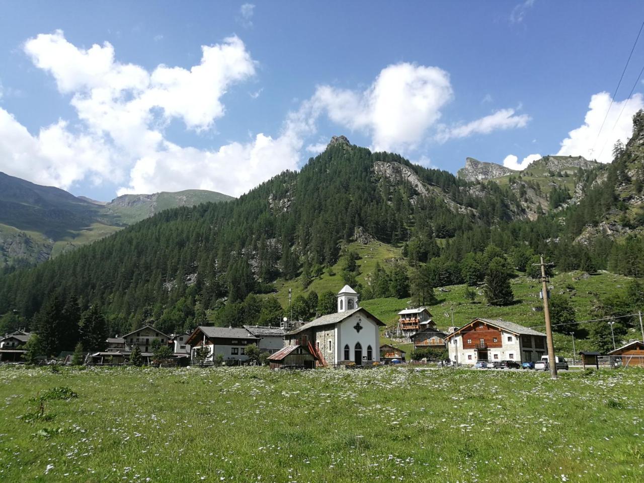 Chalet Rosa Dei Monti Piamprato Exteriör bild