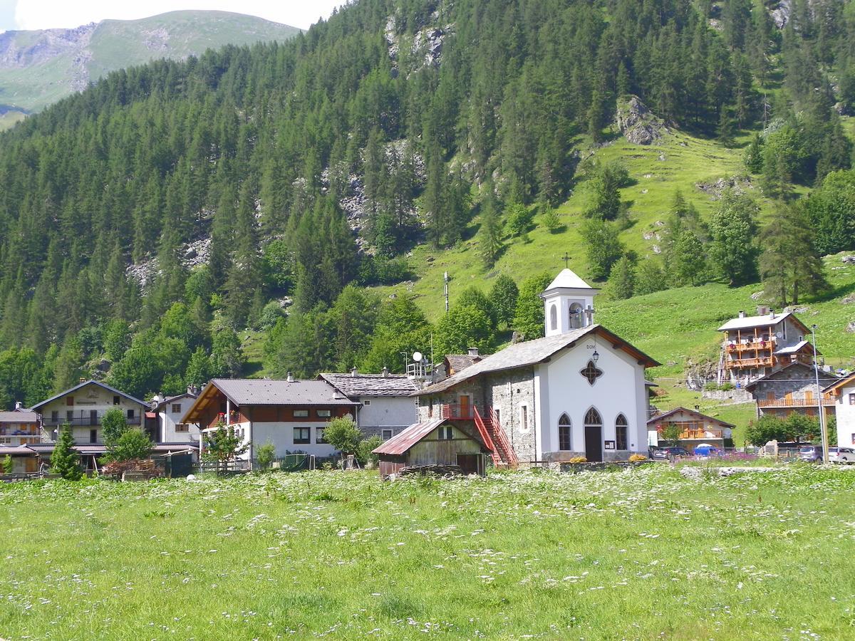 Chalet Rosa Dei Monti Piamprato Exteriör bild