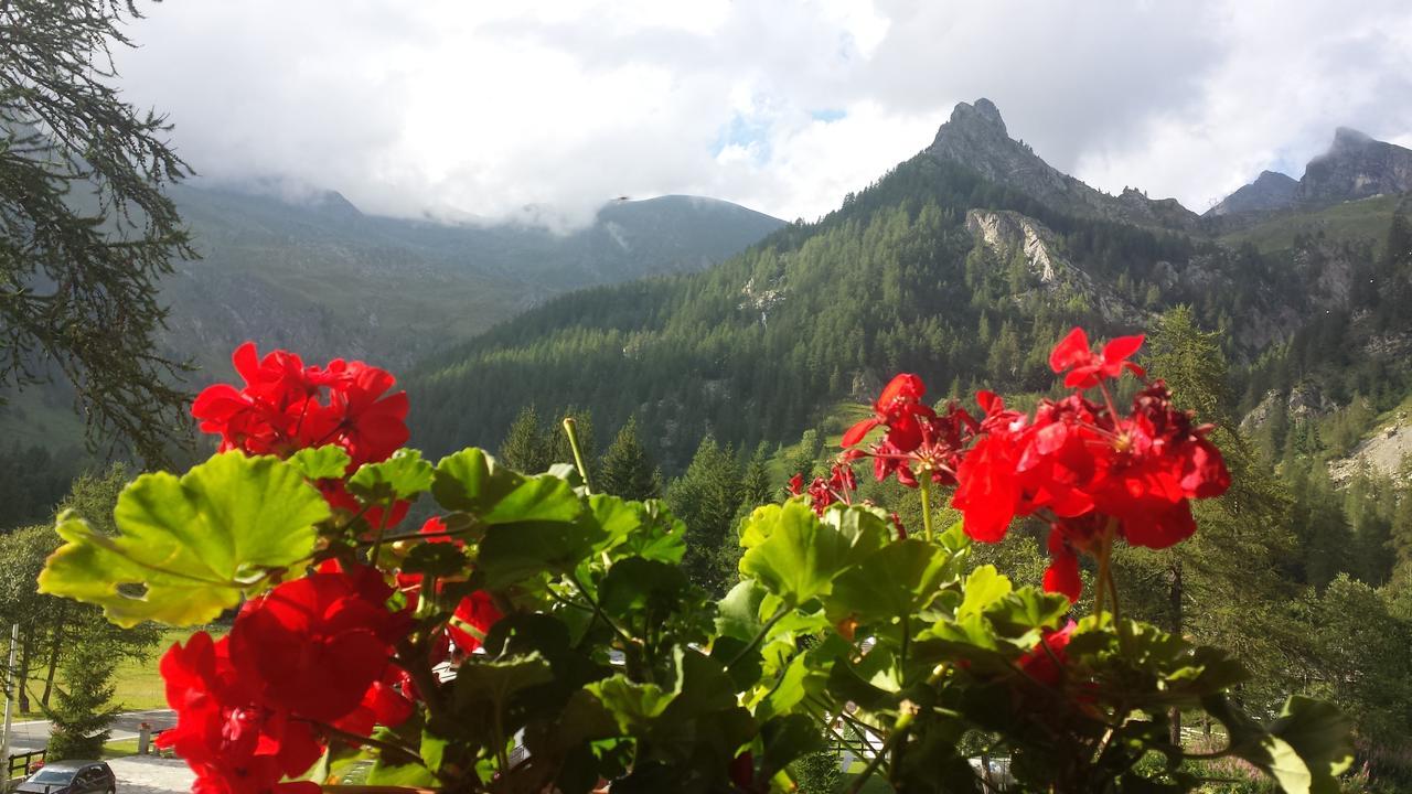 Chalet Rosa Dei Monti Piamprato Exteriör bild