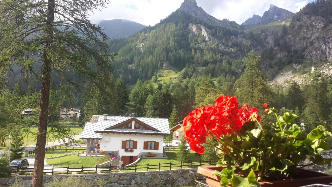 Chalet Rosa Dei Monti Piamprato Exteriör bild