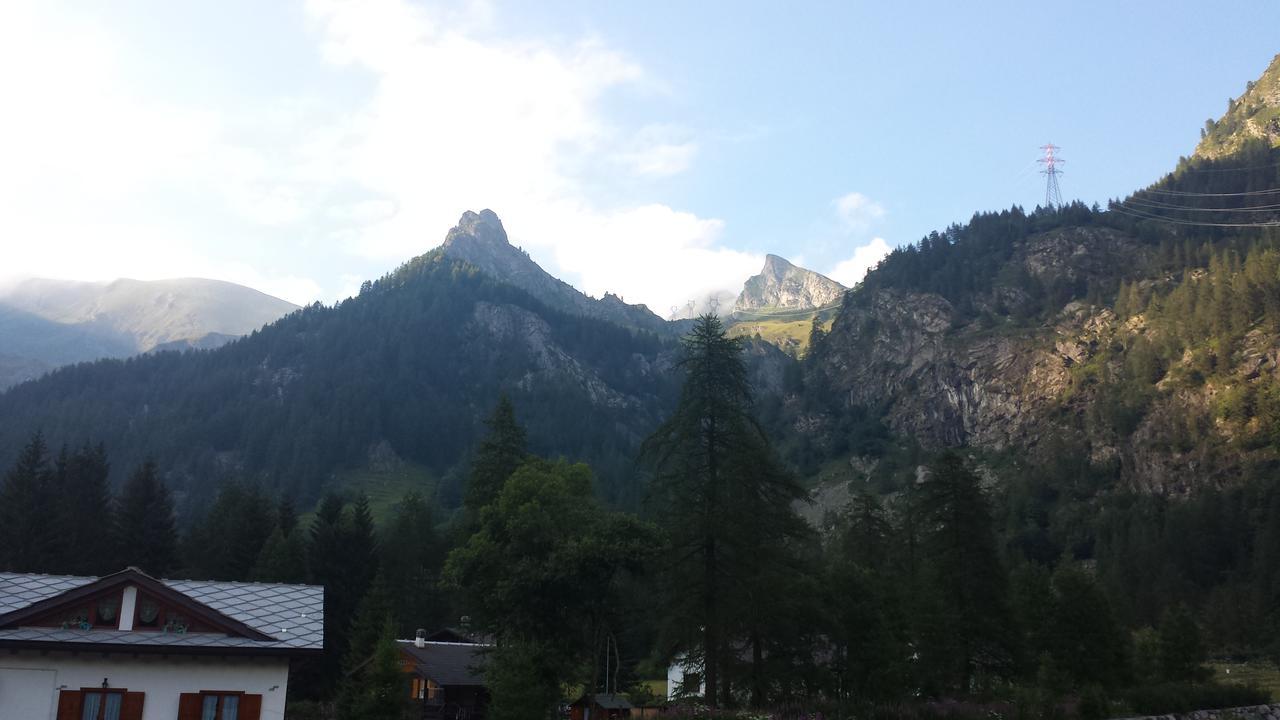 Chalet Rosa Dei Monti Piamprato Exteriör bild
