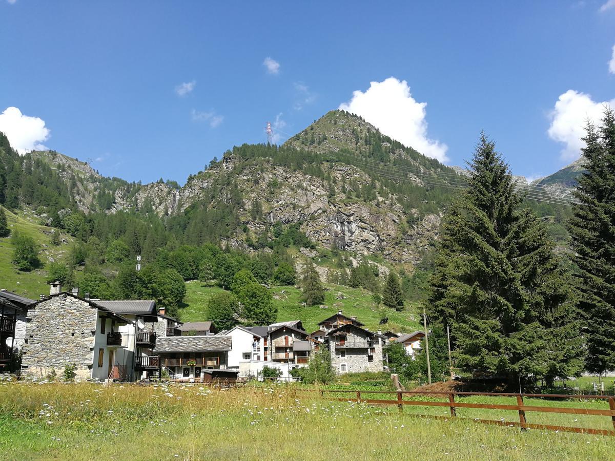 Chalet Rosa Dei Monti Piamprato Exteriör bild