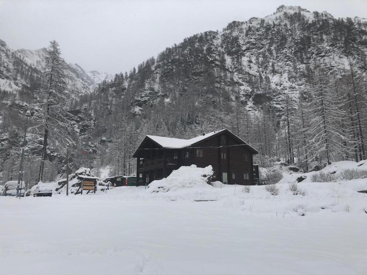 Chalet Rosa Dei Monti Piamprato Exteriör bild