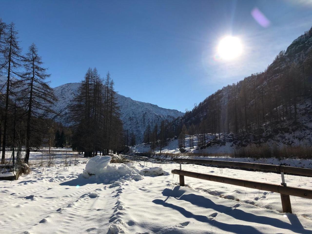 Chalet Rosa Dei Monti Piamprato Exteriör bild