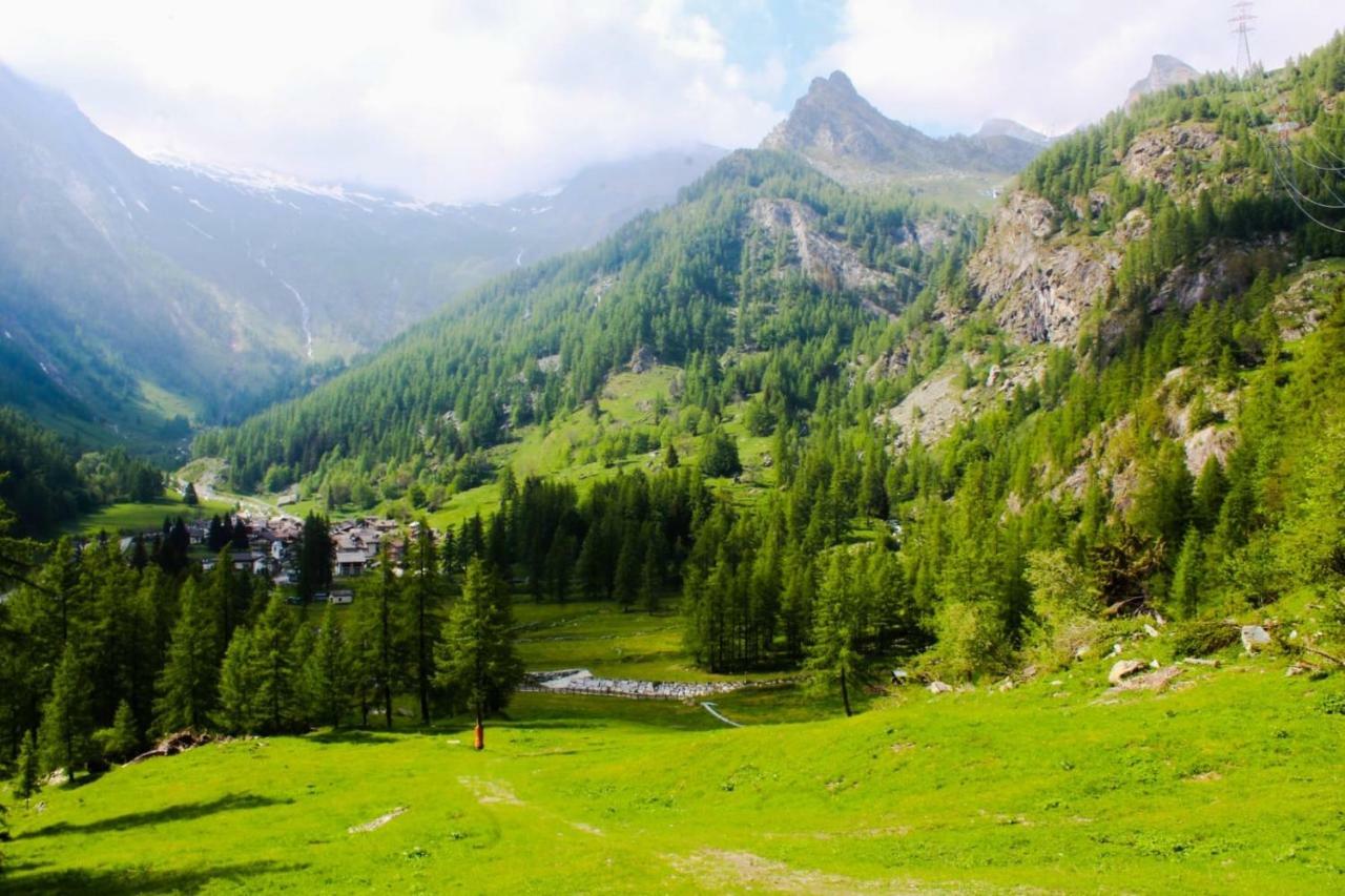 Chalet Rosa Dei Monti Piamprato Exteriör bild
