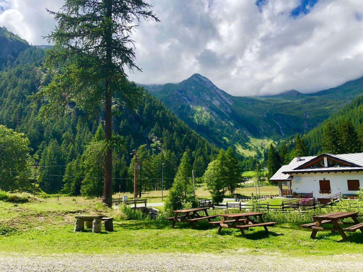 Chalet Rosa Dei Monti Piamprato Exteriör bild